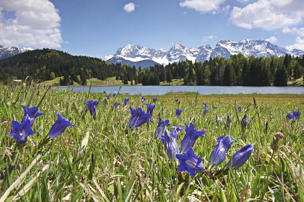 Ferienwohnung Beim Gschdoaga Mittenwald Exterior foto